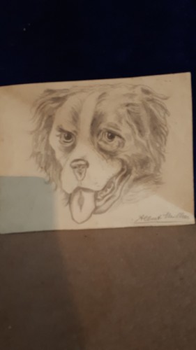 Handzeichnung hund signiert - handzeichnung,