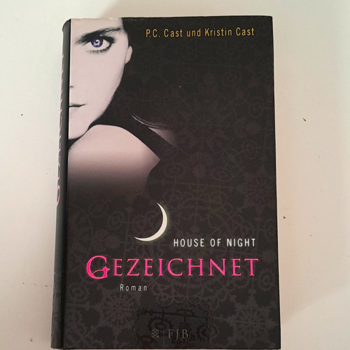 House night gezeichnet - house,