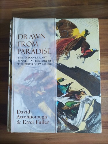 Drawn from paradise - drawn,